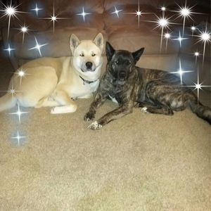 Meet your Posher, Becca